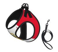 Flag of Peru Print Step in Dog Harness and Leash Set,Adjustable Reflective Harness for Small Dogs Cats