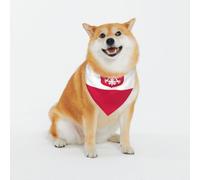 Flag of Poland Dog Bandanas-Washable Dog Kerchief for Small to Large Pet Scarf for Girl Or Boy, Pet Accessories
