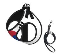 Flag of Republic of Korea Print Small Dog Harness with Leash Set, No Escape Easy Walk Puppy Harnesses for Training Walking