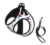 Flag of Republic of Korea Print Step in Dog Harness and Leash Set,Adjustable Reflective Harness for Small Dogs Cats