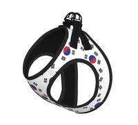 Flag of Republic of Korea Print Step in Dog Harness and Leash Set,Adjustable Reflective Harness for Small Dogs Cats