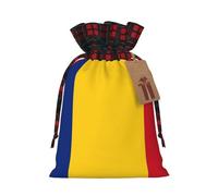 Flag of Romania Fashionable Print Medium Drawstring Storage Bag Lightweight and Beautiful for Various Festivals