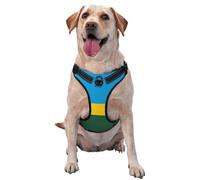 Flag of Rwanda Medium Printed pet Traction Vest for Pets to wear When Walking The Dog or Climbing Mountains