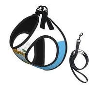 Flag of San Marino Print Dog Harness and Leash Set,Breathable Adjustable Escape Proof Vest for Dogs, Cats