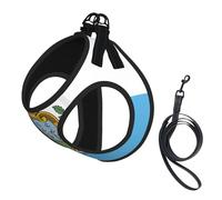 Flag of San Marino Print Dog Harness with Leash Set with Thickened Padded Vest for Extra-Small/Small Medium Dogs