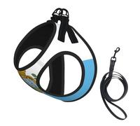 Flag Of San Marino Print Small Dog Harness And Leash Set, Adjustable Soft Vest With 360° Reflective Straps For Cats Puppy