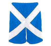Flag of Scotland Summer Beach Shorts Menu2019s Swim Trunks Board Short for Man, L Multi