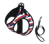 Flag of Serbia Print Step in Dog Harness and Leash Set,Adjustable Reflective Harness for Small Dogs Cats