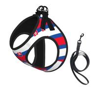 Flag of Slovakia Print Step in Dog Harness and Leash Set,Adjustable Reflective Harness for Small Dogs Cats