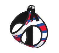 Flag of Slovakia Print Step in Dog Harness and Leash Set,Adjustable Reflective Harness for Small Dogs Cats