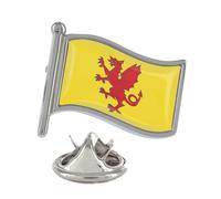 Flag of Somerset County Flag Silver Lapel Pin Badge