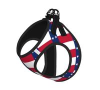 Flag Of Texas Pet Leash Vest For Small Dogs Cats Reflective Adjustable Soft Outdoor Walking Hiking Training