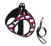 Flag of Texas Print Step in Dog Harness and Leash Set,Adjustable Reflective Harness for Small Dogs Cats