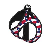 Flag of Texas Print Step in Dog Harness and Leash Set,Adjustable Reflective Harness for Small Dogs Cats