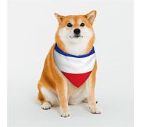 Flag of The Canton of Schleswig-Holstein Dog Bandana for Small Medium Large Dogs, Cat Dogs Kerchief Triangle Bibs Scarf for Girl Or Boy
