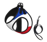 Flag Of The Canton Of Schleswig-Holstein Dog Harness - Breathable, Reflective, And Adjustable Pet Vest, Suitable For Small Cats And Dogs