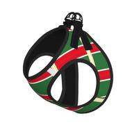 Flag Of The Chechen Republic Pet Leash Vest For Small Dogs Cats Reflective Adjustable Soft Outdoor Walking Hiking Training