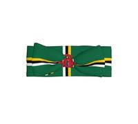 Flag of the Commonwealth of Dominica All-over printed baby bow headband matches any outfit for babies, toddlers and kids