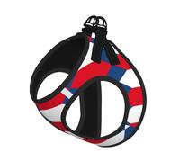 Flag Of The Czech Republic Pet Leash Vest For Small Dogs Cats Reflective Adjustable Soft Outdoor Walking Hiking Training