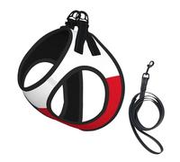 Flag Of The Czech Republic Print Small Dog Harness And Leash Set, Adjustable Soft Vest With 360° Reflective Straps For Cats Puppy