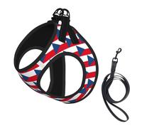 Flag of the Czech Republic Print Step in Dog Harness and Leash Set,Adjustable Reflective Harness for Small Dogs Cats