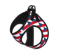 Flag of the Czech Republic Print Step in Dog Harness and Leash Set,Adjustable Reflective Harness for Small Dogs Cats