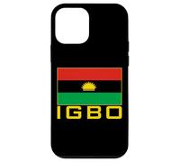 Flag of the Igbo People Biafra Nigera Case for iPhone 12 mini