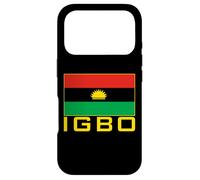 Flag of the Igbo People Biafra Nigera Case for iPhone 17 Pro
