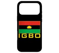 Flag of the Igbo People Biafra Nigera Case for iPhone 17 Pro Max