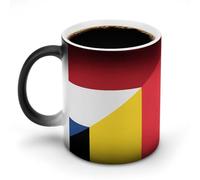 Flag of The Netherlands And Belgium Color Changing Mug Ceramic Heat Sensitive Coffee Cup with Handle Funny Gifts 11oz