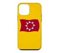 Flag of the Oglala Lakota Sioux Pine Ridge Indian Case for iPhone 12 mini