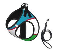 Flag of The Republic of Uzbekistan Print Soft Mesh Dog Harness and Leash Set Pet Puppy Cat Comfort Padded Vest No Pull Harnesses