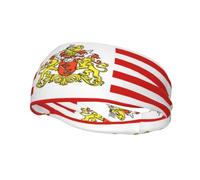 Flag of The Senate of Bremen Basketball Fitness Elastic Headband, Unisex Sports Headband, Sports Running Cycling Yoga Sweat-Absorbent Band,