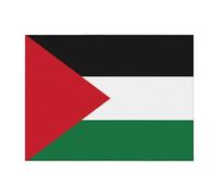 Flag of The State of Palestine Cozy Flannel Blanket â€“ Soft and Warm, Luxurious Texture, Versatile Use â€“ Extra Large Size