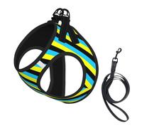 Flag of the Sultanate of Burongan Print Dog Harness and Leash Set,Breathable Adjustable Escape Proof Vest for Cats Dogs