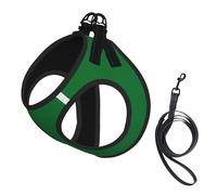 Flag of the Sultanate of Delhi print Dog Harness and Leash Set, Reflective Adjustable Puppy Vest for Small Medium Large Dogs, Cats