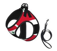 Flag of the Syrian Arab Republic Print Step in Dog Harness and Leash Set,Adjustable Reflective Harness for Small Dogs Cats
