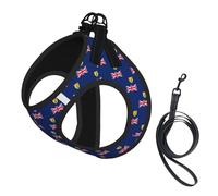Flag of the Turks and Caicos Islands Print Step in Dog Harness and Leash Set,Adjustable Reflective Harness for Small Dogs Cats