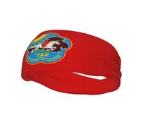 Flag of The Tuvan People's Republic (1935-1939) Headbands Men Women Non Slip Wicking Sports Sweatband for Gym Basketball Yoga Hairbands