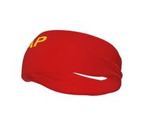 Flag of The Tuvan People's Republic (1943-1944) Possible Variant Headbands Men Women Non Slip Wicking Sports Sweatband for Gym Basketball Yoga Hairbands