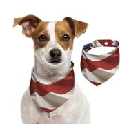 Flag of The United States of America Dog Bandanas-Washable Dog Kerchief for Small to Large Pet Scarf for Girl Or Boy, Pet Accessories