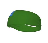 Flag of The Vermont Republic Headbands Men Women Non Slip Wicking Sports Sweatband for Gym Basketball Yoga Hairbands