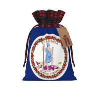 Flag of Virginia Two Color Drawstring Gift Bag M Beautiful Convenient Suitable For Christmas Birthdays