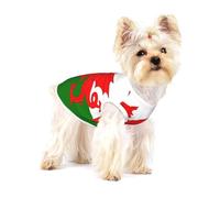 Flag of Wales Premium Dog Tshirt - Soft 100% Cotton Ropa Para Perros, Perfect for Small to Medium Dogs, Stylish and Comfortable Shirts for Dogs S