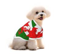 Flag of Wales Print Artistic Pet T Shirt Cotton Breathable Tee | Soft Crewneck Pullover For Small Dogs And Cats, Casual Vibrant Top For Daily Walk, Party, Travel, Outdoor Activities