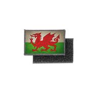 Flag Patch Printed Badge Country Vintage Wales Welsh