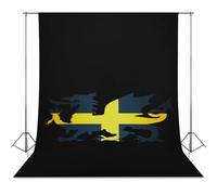Flag Saint David of Wales Photo Studio Backgrounds Black Photography Backdrop for Portrait Video Shooting Live 56"x118"