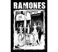 Flagline Heart Rock Original Ramones CBGB Photo Flag, Fabric, Multicolor, 110x75x0 cm
