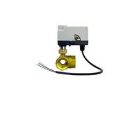 FLAGPVPAGT Brass Motorized Ball Valve 3-Wire 2-Control Electric Actuator DC12-24V 3 Ways /2 Way DN15 DN20 DN25 DN32 DN40 with Manual Switch(DN20,3-2_DC12-24V X 10PCS_2 Way)