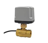 FLAGPVPAGT Full Bore Motorized Ball Valve Brass IP65 Waterproof DN15 DN20 DN25 Female Thread 3-Wire or 2 Wire AC/DC 12V 24V AC110V 220V(DN15,DC12V_CR03)